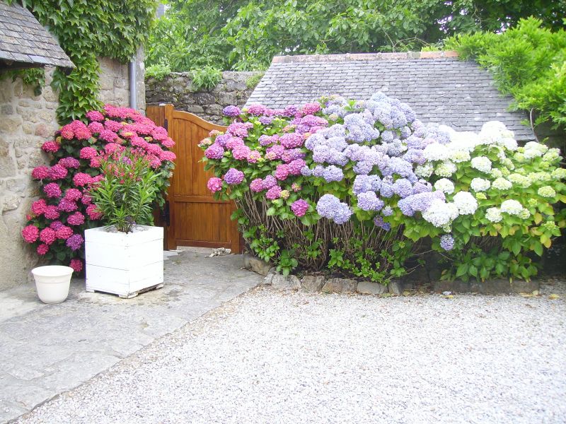 imgp1323